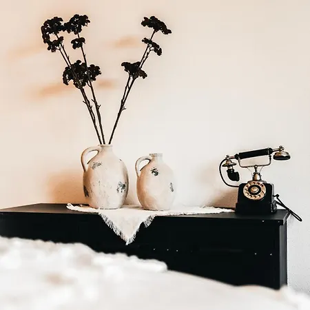 Premium-twin-lofts דירה *